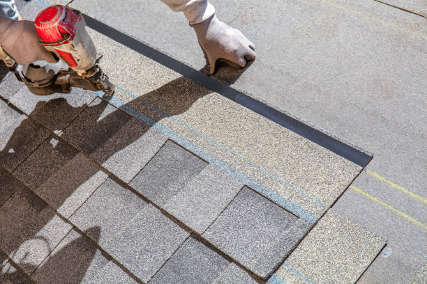 Best Roof Maintenance Services  in Forest, MS
